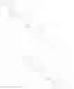 Fig. 08 - Polysialic acid derivatives