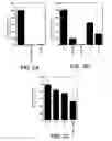 Fig. 03 - Pantropic neurothrophic factors