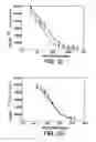 Fig. 11 - Pantropic neurothrophic factors