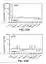 Fig. 29 - Pantropic neurothrophic factors
