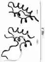 Fig. 04 - Crystallization of IGF-1