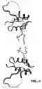 Fig. 05 - Crystallization of IGF-1