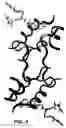 Fig. 06 - Crystallization of IGF-1