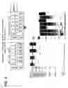 Fig. 04 - Methods for isolation of nucleic acids