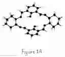 Fig. 02 - Amphiphilic molecular modules and constructs based thereon