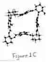 Fig. 04 - Amphiphilic molecular modules and constructs based thereon