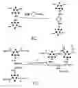 Fig. 10 - Amphiphilic molecular modules and constructs based thereon