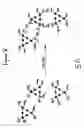 Fig. 11 - Amphiphilic molecular modules and constructs based thereon