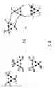 Fig. 12 - Amphiphilic molecular modules and constructs based thereon