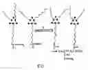 Fig. 14 - Amphiphilic molecular modules and constructs based thereon
