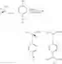Fig. 02 - Production process of optically pure 2-(4- hydroxyphenoxy)-propionic acid compounds