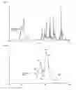 Fig. 03 - Duloxetine HCl polymorphs