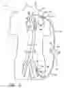 Fig. 06 - Implantable heart assist system and method of applying same