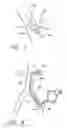 Fig. 08 - Implantable heart assist system and method of applying same