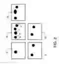 Fig. 03 - Method and system for guided two dimensional colon screening