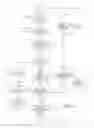 Fig. 06 - Automated template generation algorithm for implantable device