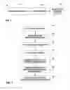 Fig. 02 - Patient sensory response evaluation for neuromodulation efficacy rating