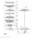 Fig. 06 - Patient sensory response evaluation for neuromodulation efficacy rating