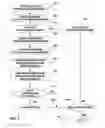 Fig. 07 - Patient sensory response evaluation for neuromodulation efficacy rating