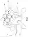 Fig. 02 - Massage apparatus