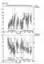 Fig. 38 - Reciprocating movement platform for the external addition of pulses to the fluid channels of a subject