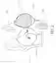 Fig. 03 - Air bag nursing bra