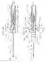 Fig. 02 - Safety spring catheter introducer assembly