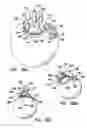 Fig. 16 - Methods for treating eye conditions