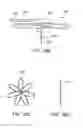Fig. 33 - Methods and electrode apparatus to achieve a closure of a layered tissue defect