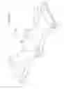 Fig. 17 - Revisable anterior cervical plating system