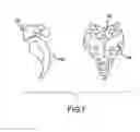 Fig. 07 - Spinal stabilization