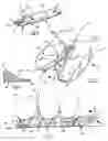 Fig. 02 - Tick remover