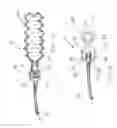 Fig. 10 - Fixed-volume inflation system for balloon catheters
