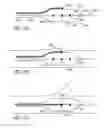 Fig. 14 - Vessel treatment devices
