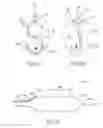 Fig. 19 - Vessel treatment devices
