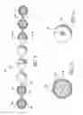 Fig. 04 - Intracorporeal occlusive device and method