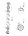 Fig. 11 - Intracorporeal occlusive device and method