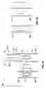 Fig. 20 - Apparatus and methods for magnetic alteration of anatomical features