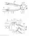 Fig. 08 - Safety control system for implantable neural stimulator