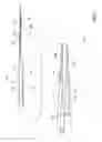 Fig. 04 - Catheter system for stenting bifurcated vessels