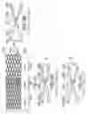 Fig. 13 - Catheter system for stenting bifurcated vessels
