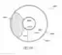Fig. 31 - Method for increasing the depth of focus of a patient