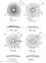 Fig. 06 - Masked intraocular devices