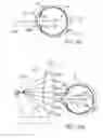 Fig. 09 - Masked intraocular devices