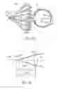 Fig. 12 - Masked intraocular devices