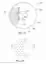 Fig. 25 - Masked intraocular devices