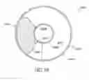 Fig. 31 - Masked intraocular devices