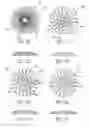Fig. 06 - Mask configured to maintain nutrient transport without producing visible diffraction patterns