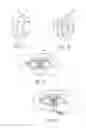 Fig. 08 - Mask configured to maintain nutrient transport without producing visible diffraction patterns