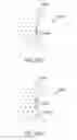 Fig. 30 - Mask configured to maintain nutrient transport without producing visible diffraction patterns